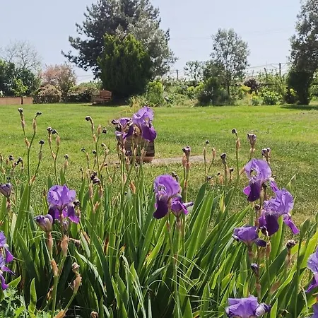 L'entre-deux-pommes Bed & Breakfast